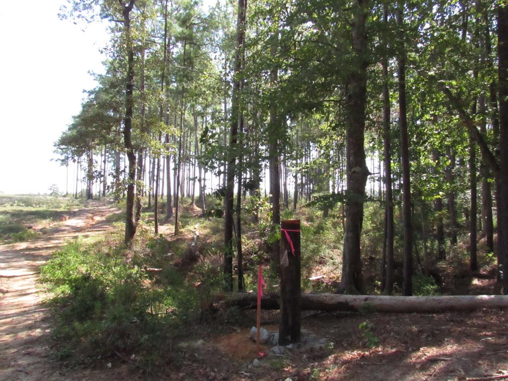 a view of outdoor space with trees