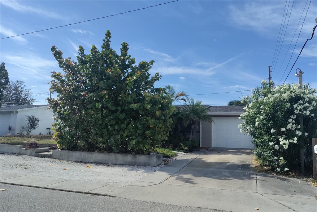 a plant is sitting in front of a house