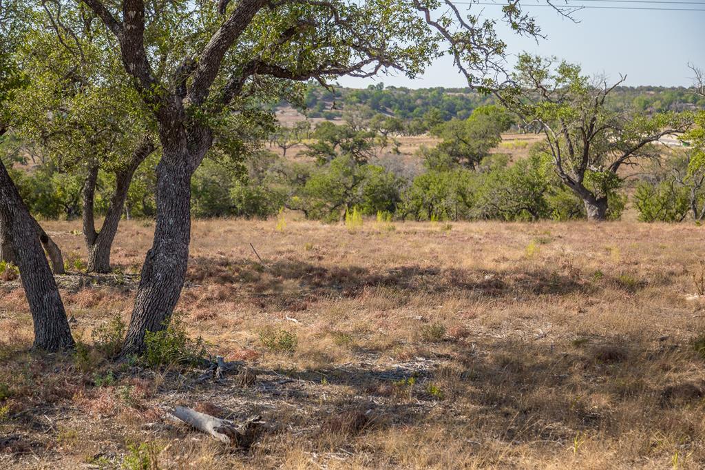 a view of dirt yard with a large tree