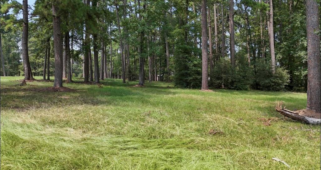 a view of a field with trees in the background