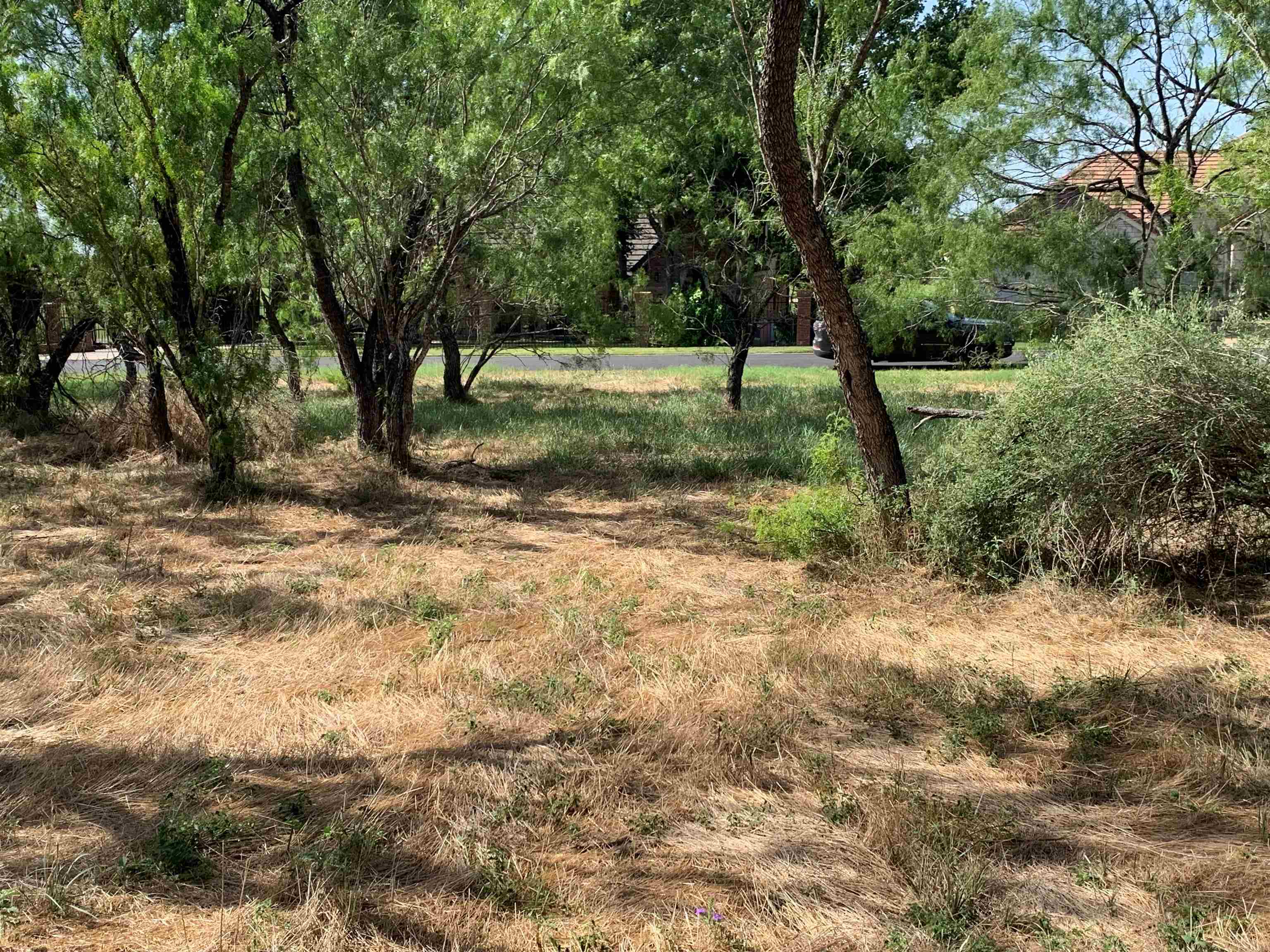 a view of backyard with green space