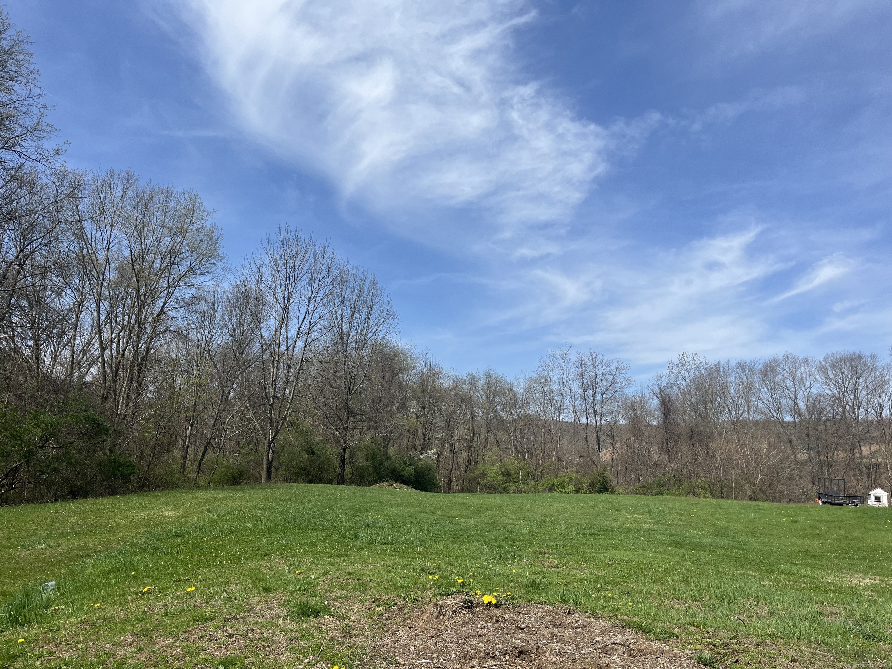 a view of a grassy field with trees in the background