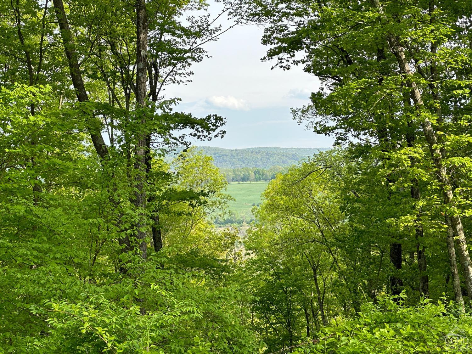 a view of a garden