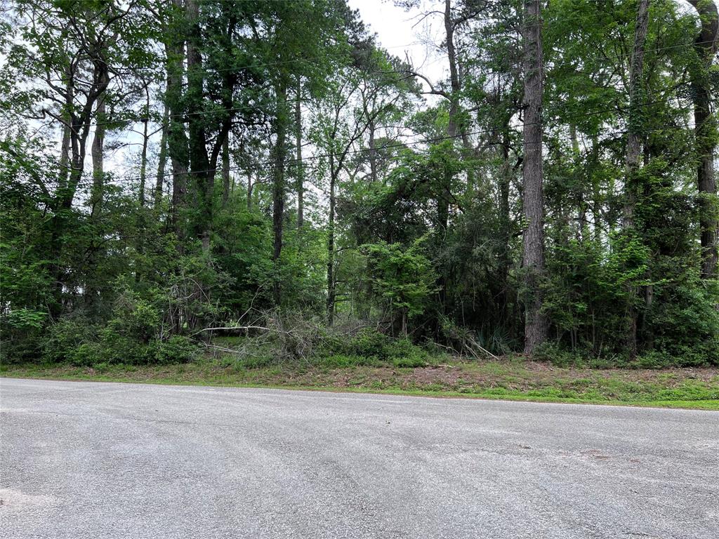 a view of a field with trees in the background