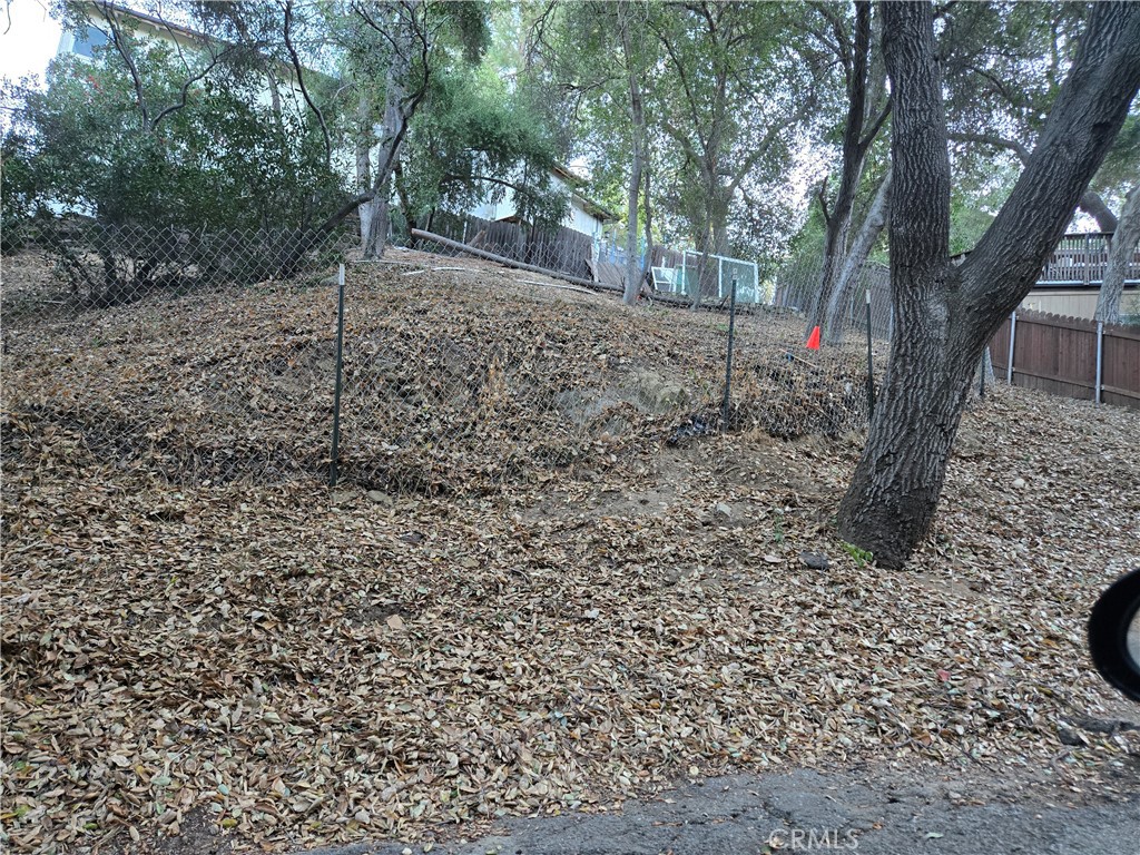 a view of a yard with a tree