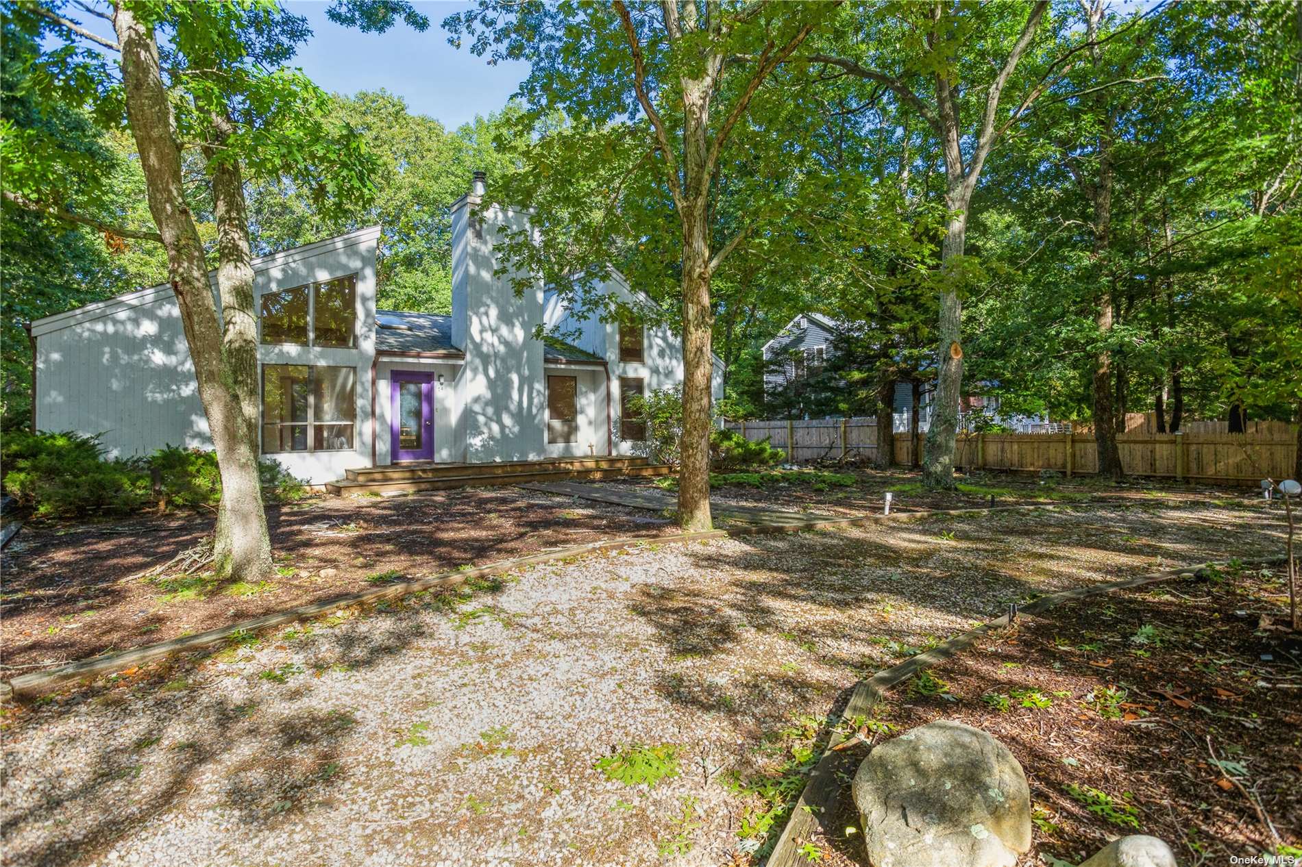 a view of a yard with plants and trees