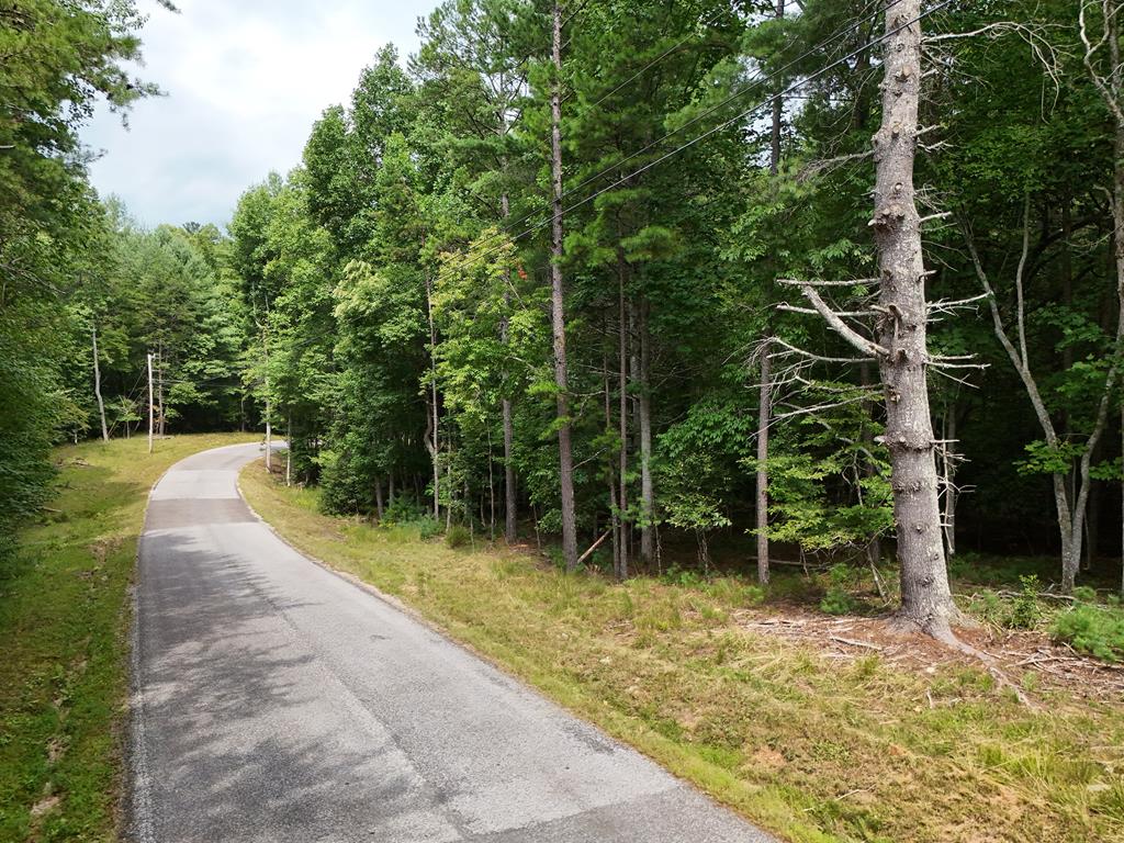 a view of a pathway with a yard