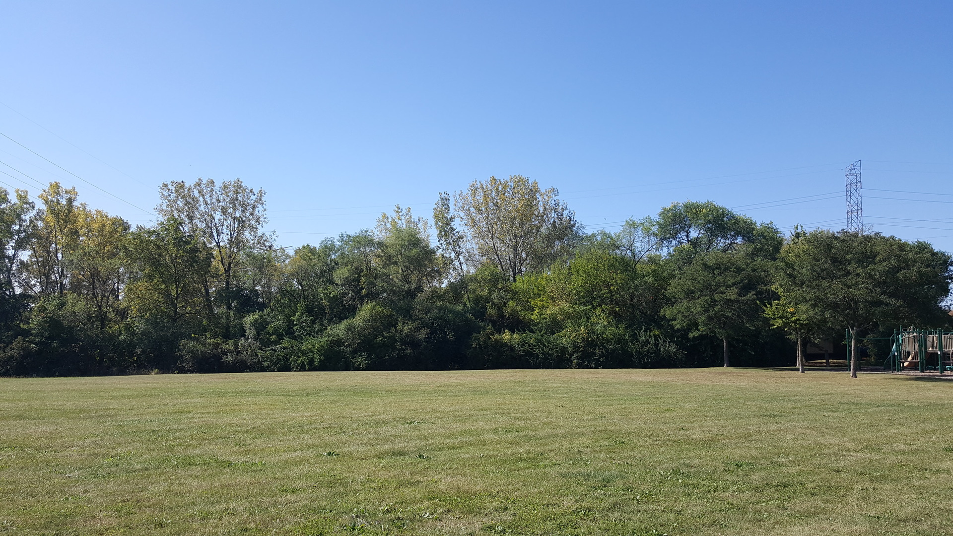 a view of a field with trees