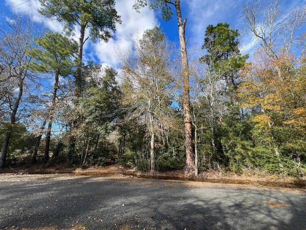 a view of road with trees