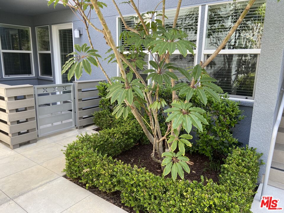 a house with a plant in front of it