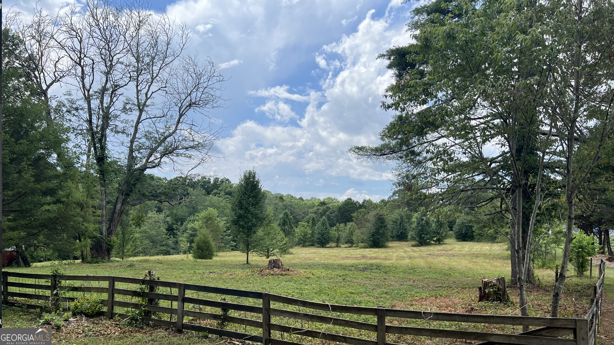 a view of a field with trees in the background