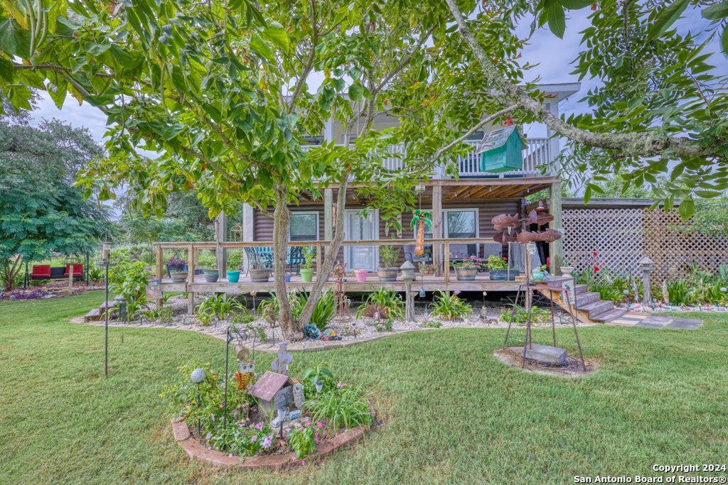 a view of backyard with a garden and plants