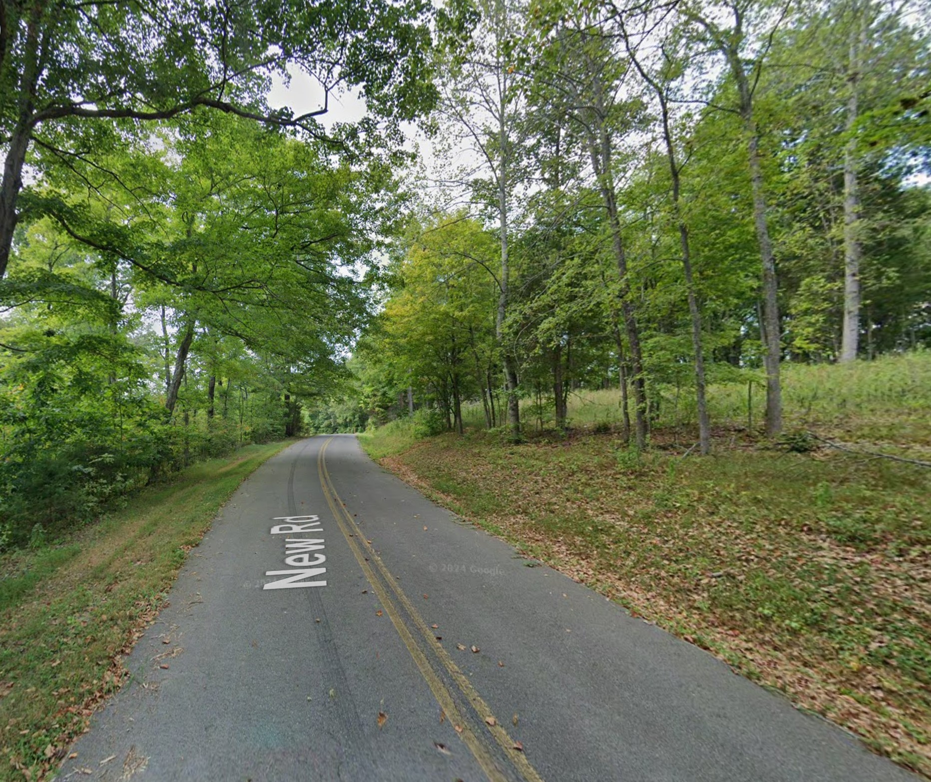 a view of a street with a yard and trees