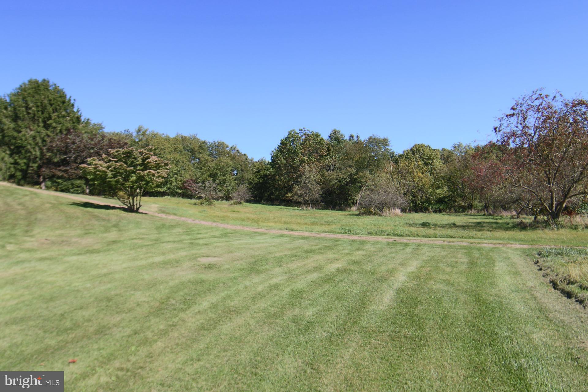 a view of a field with trees in the background