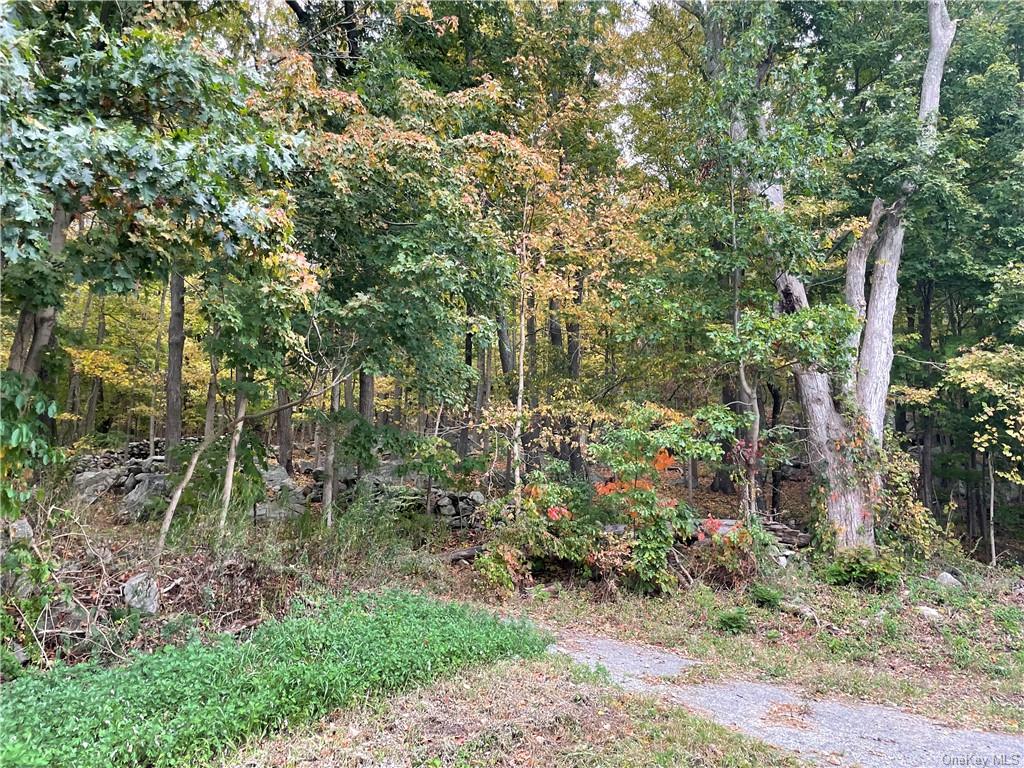 a backyard of a house with lots of trees