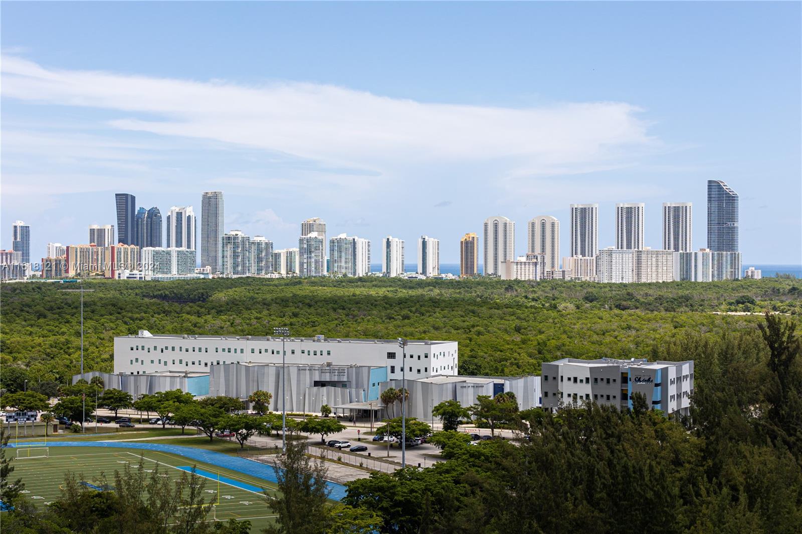 a view of a city with tall buildings and a big yard