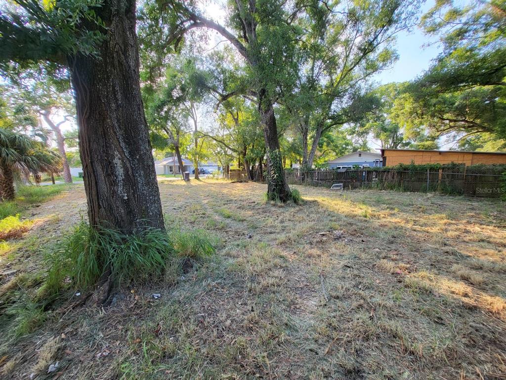 a view of backyard with outdoor and green space