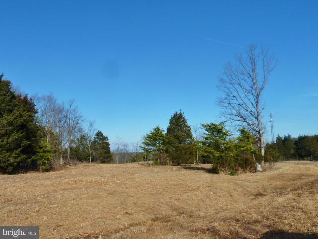 a view of a dry yard with trees in the background