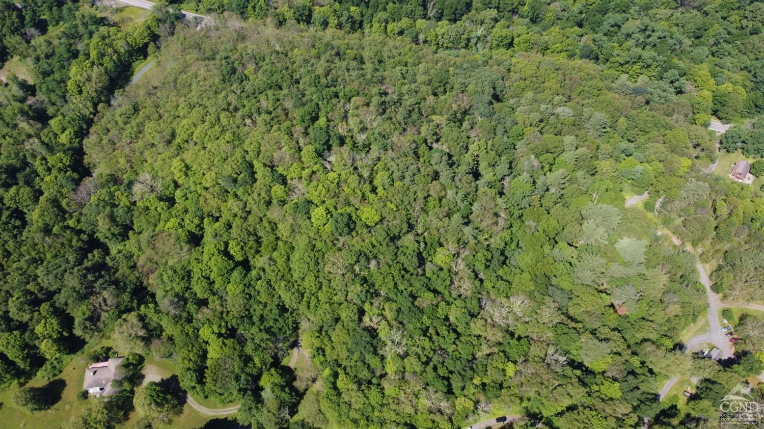 a view of a green field