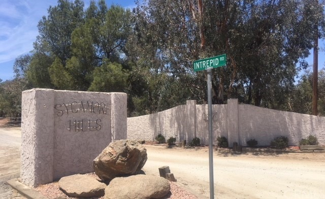 a view of a street sign under a large tree