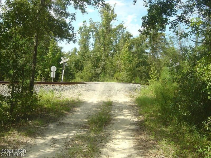 a view of yard with green space