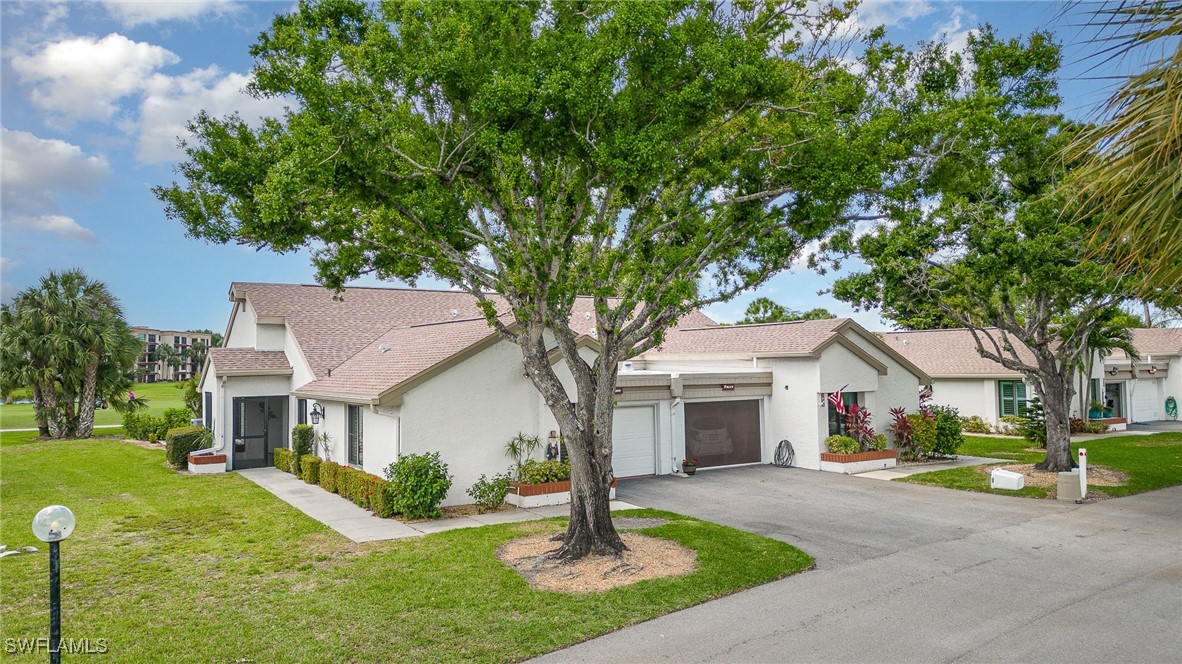 a front view of a house with a yard and large tree