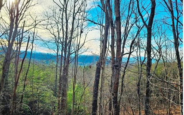 $29,900 | Lot 80 Graystone Drive | Hothouse Township - Cherokee County