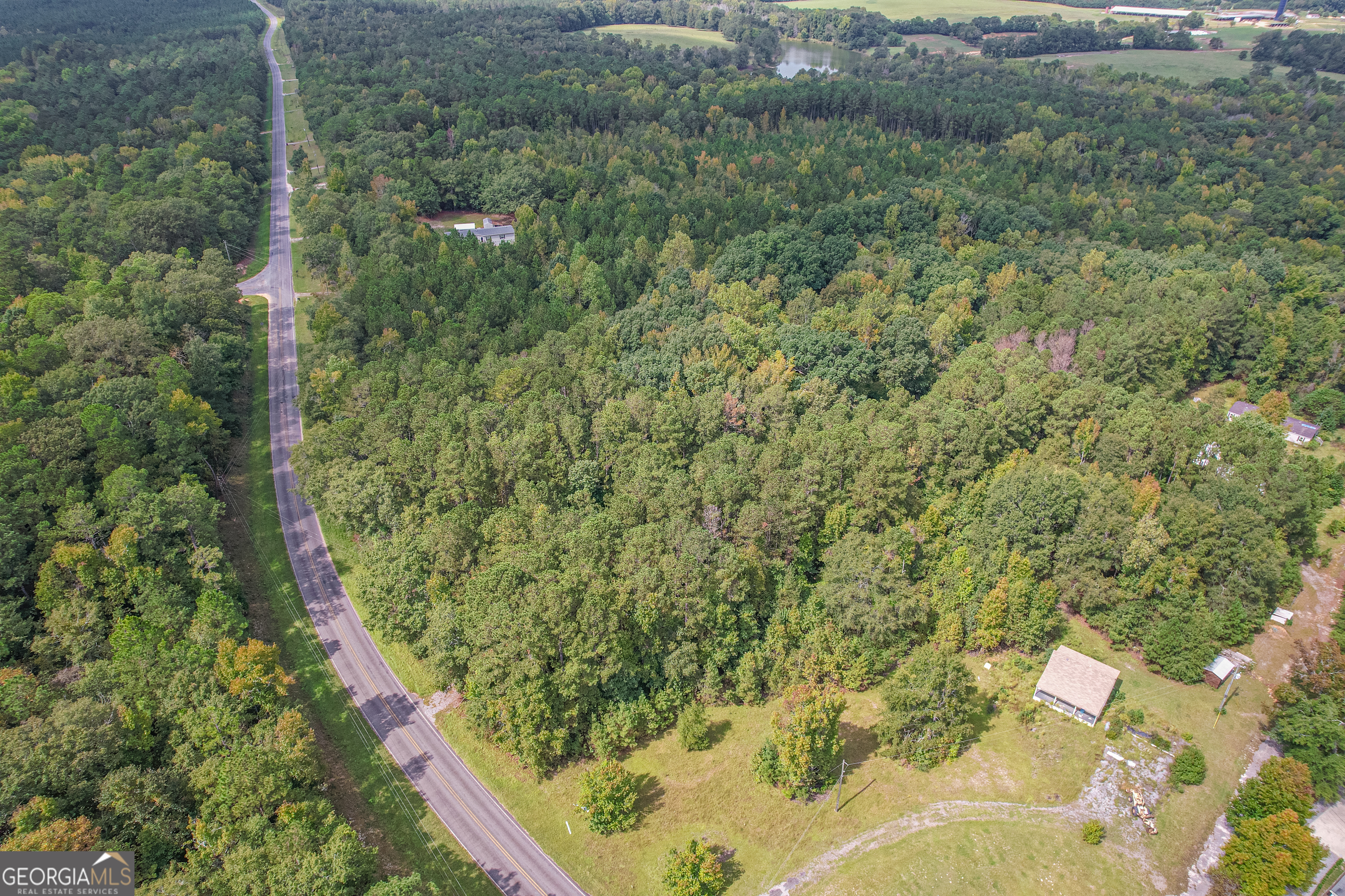 a view of a forest from a window