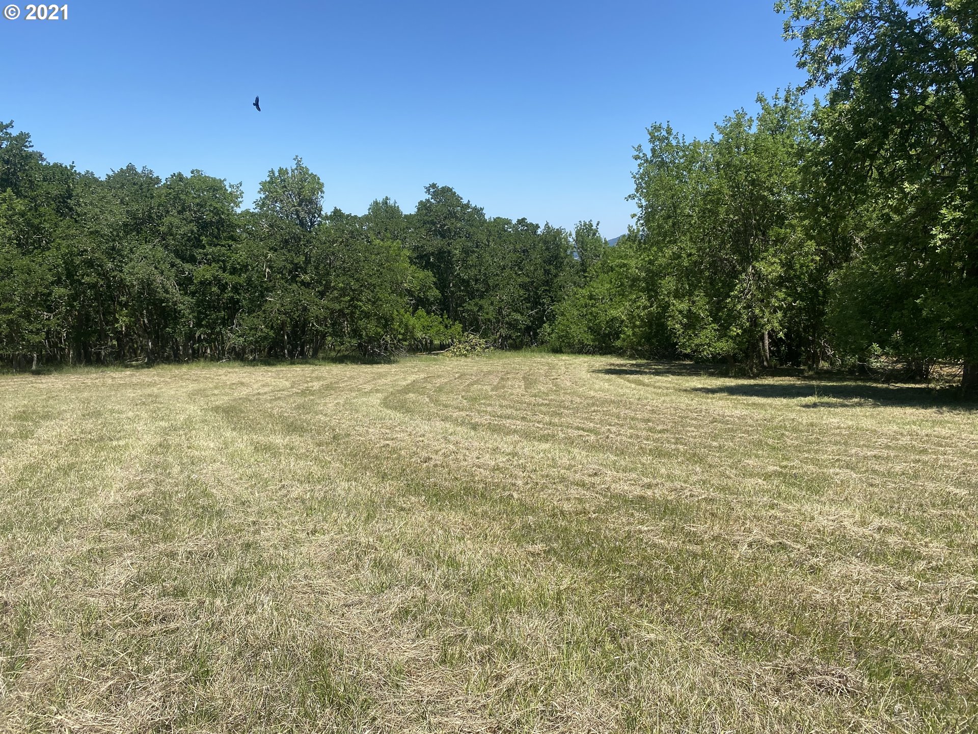 a view of basketball court