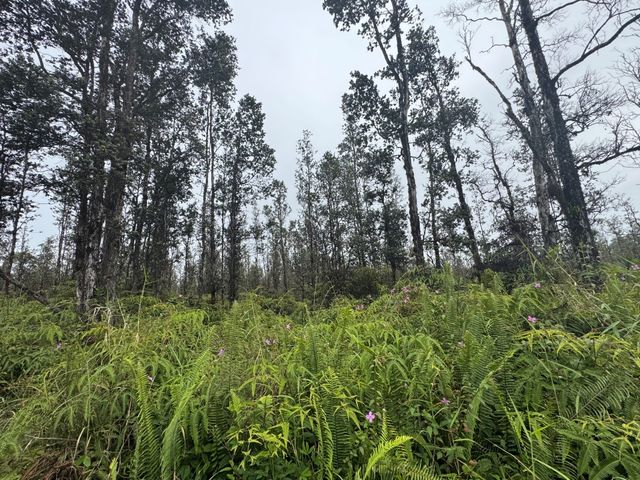 $40,000 | 3549 Road 4 (io Kea) Kurtistown Hi 96760 | Hawaiian Acres