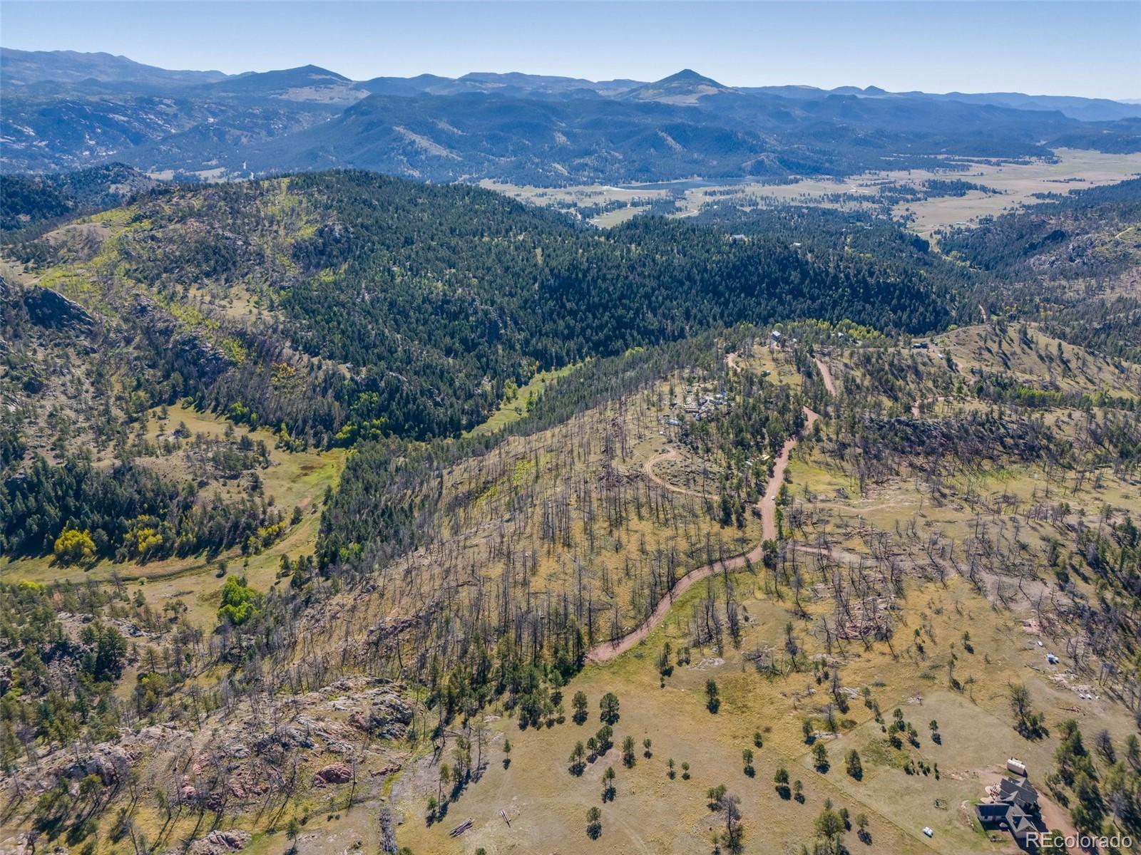 a view of a forest with a forest