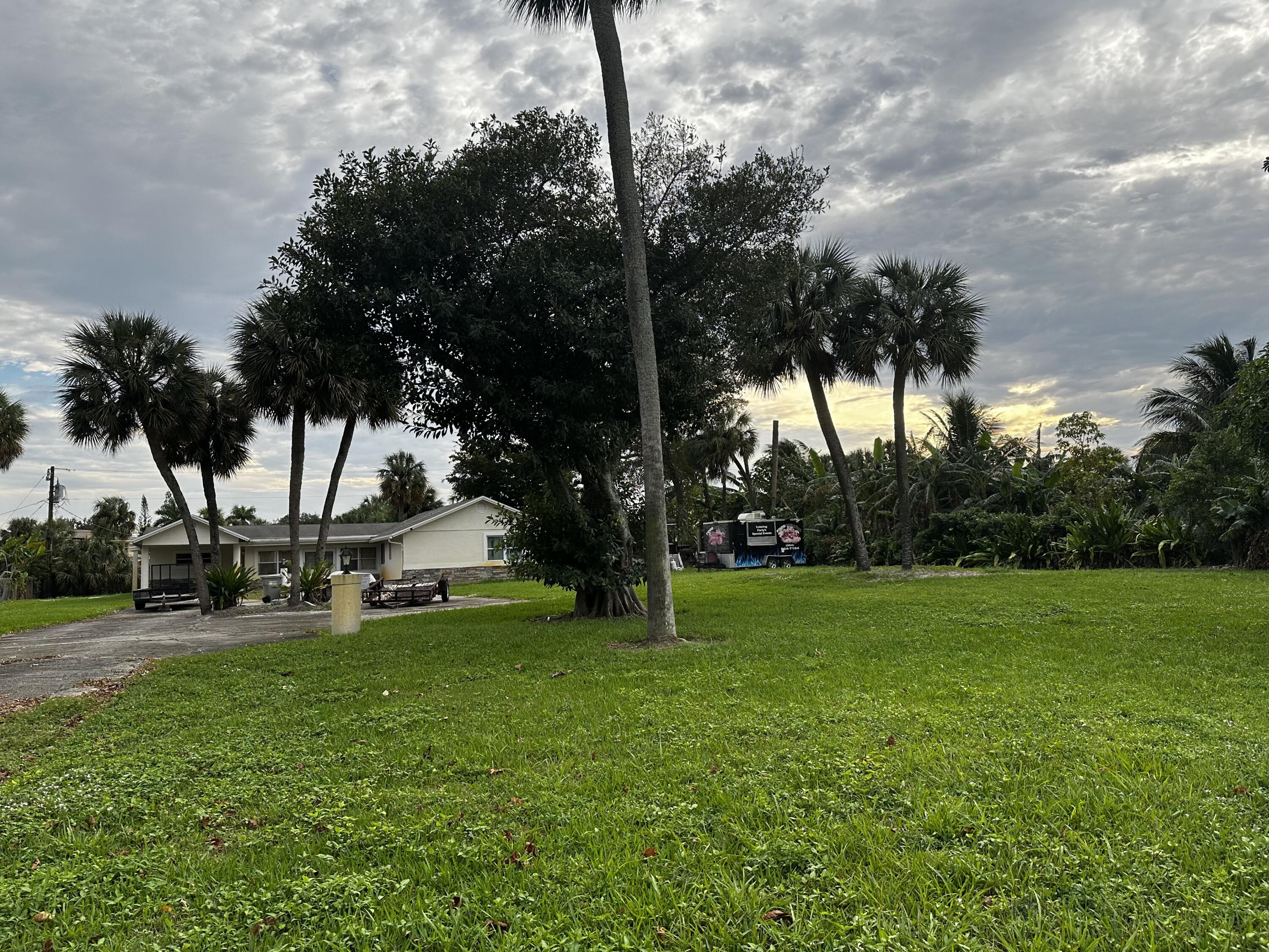 a view of a park with large trees