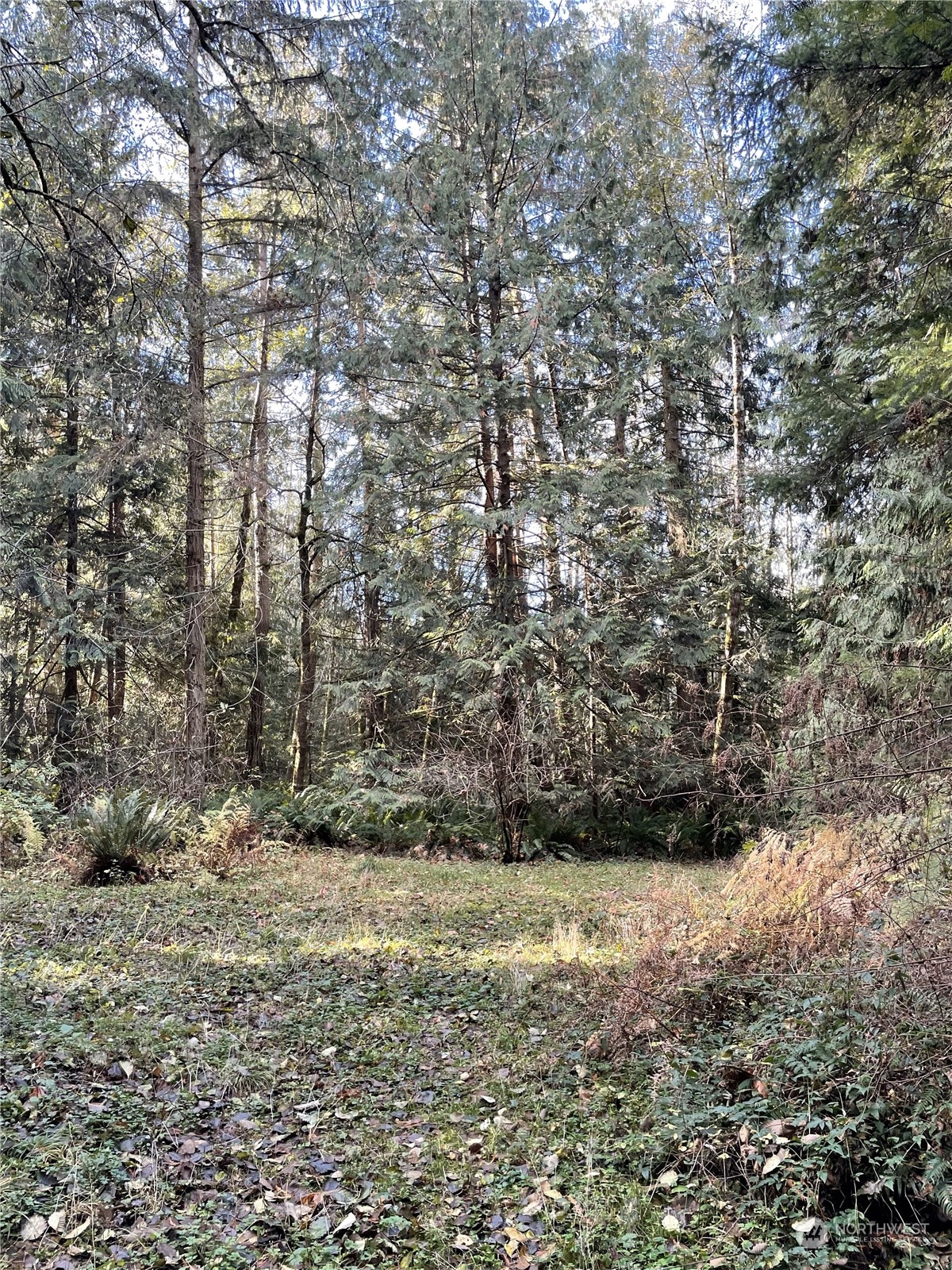 a view of outdoor space and a yard