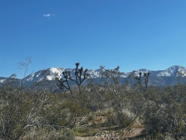 a view of a outdoor space