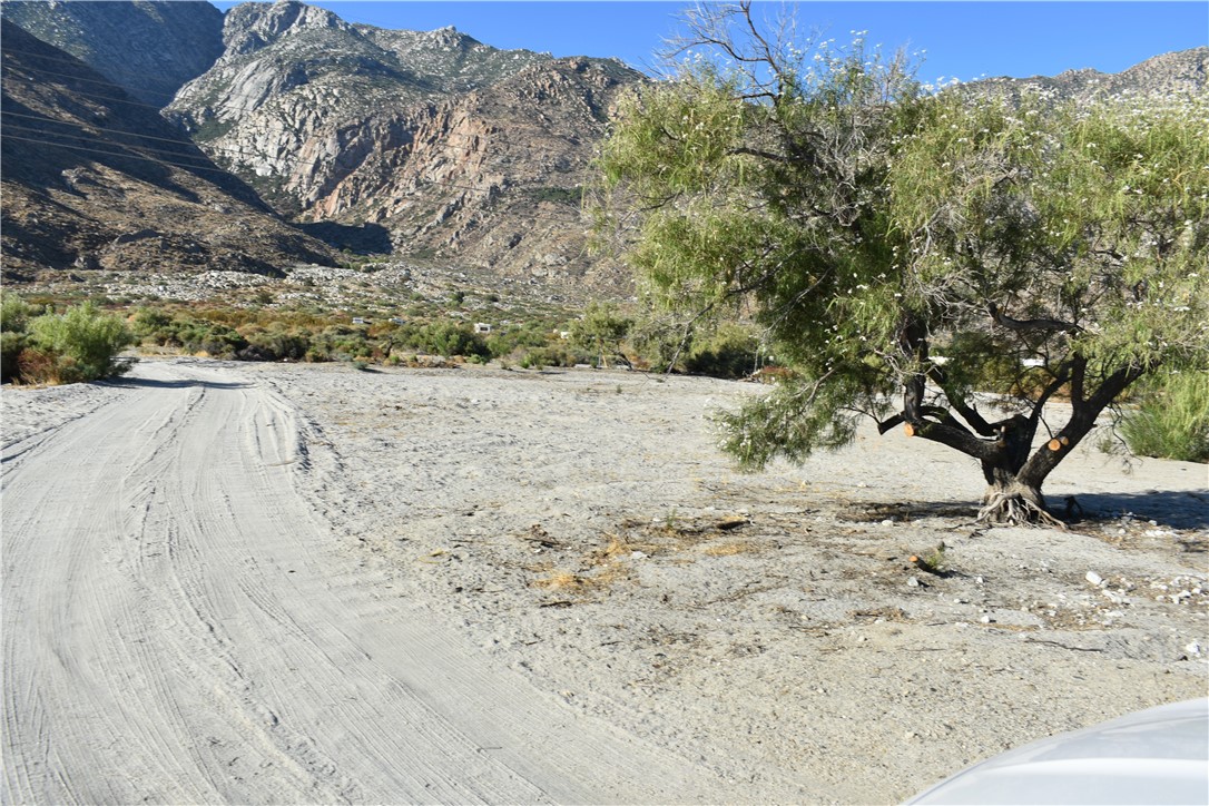 a view of a dry yard covered with snow in the background