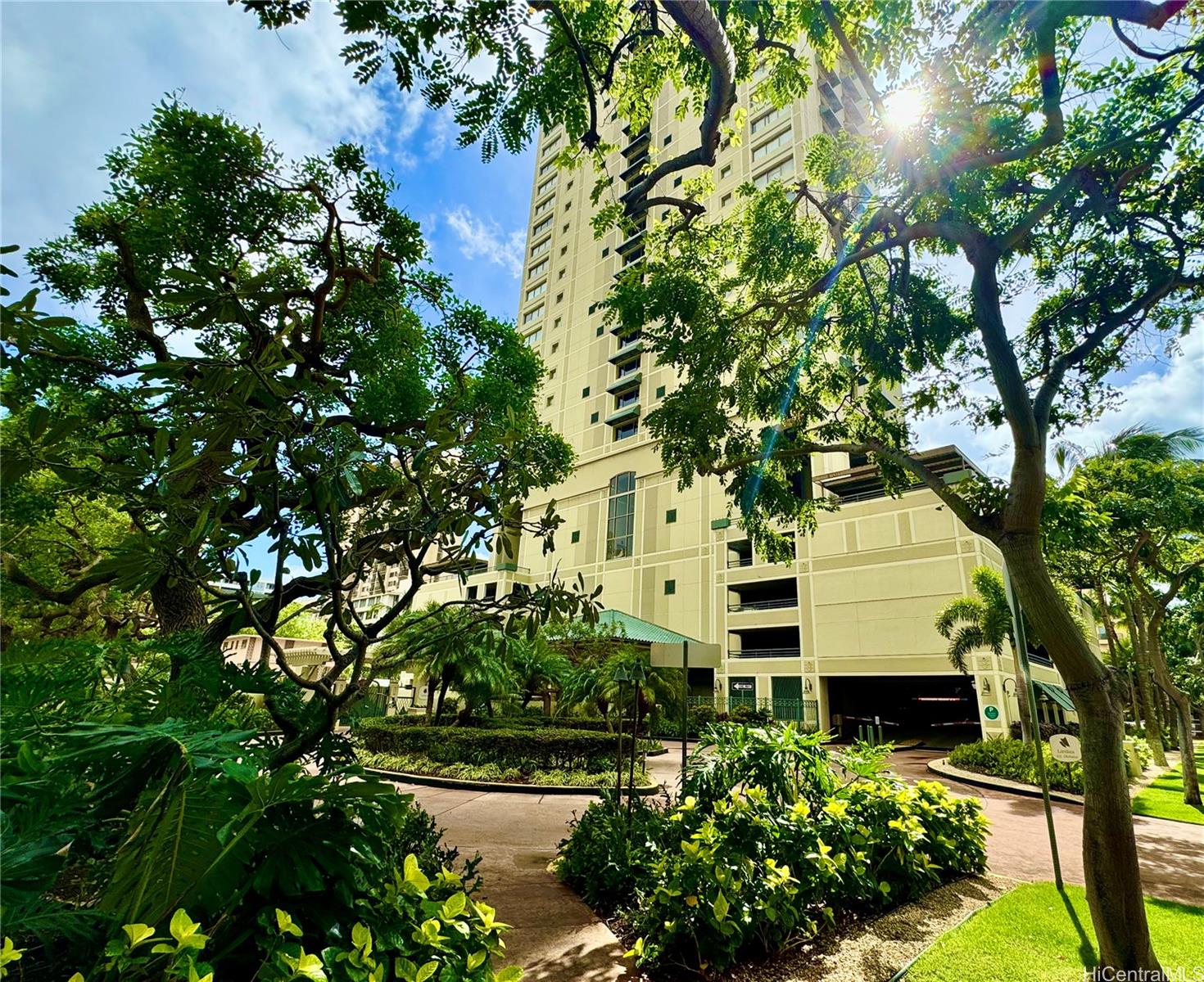 a view of a multi story yard with plants and large trees