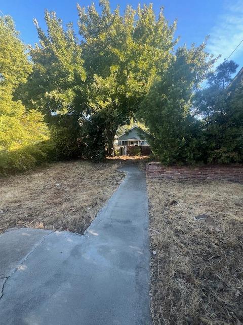 a view of a trees with wooden fence