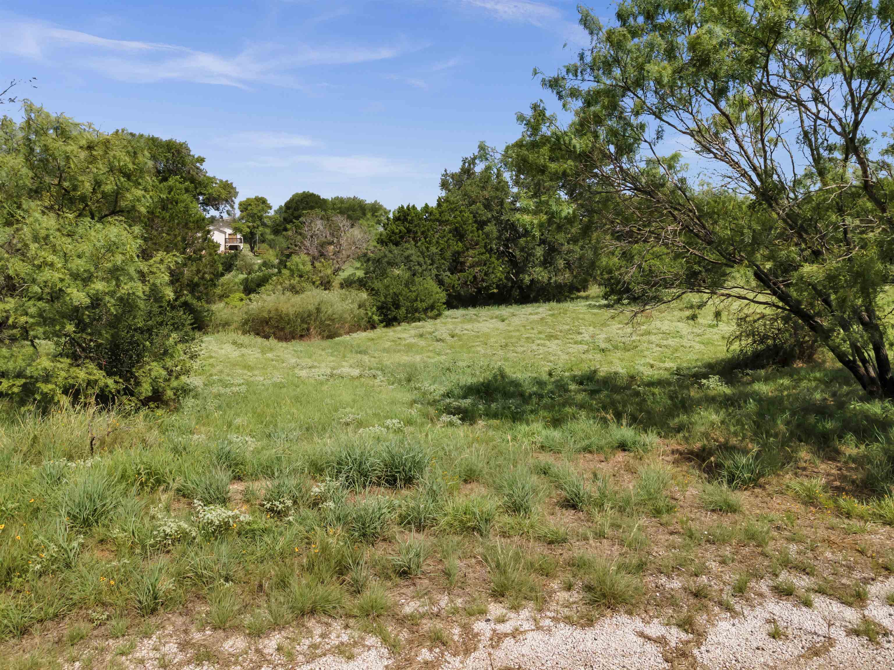 a view of a big yard with green space