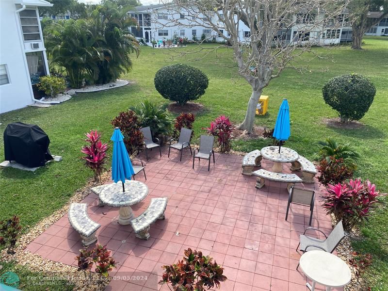 a view of a backyard with plants and a fountain