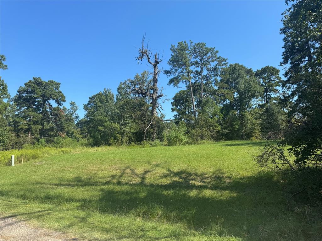 a view of a grassy area with an trees