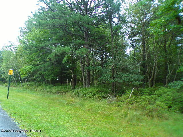 a view of a green field with a tree