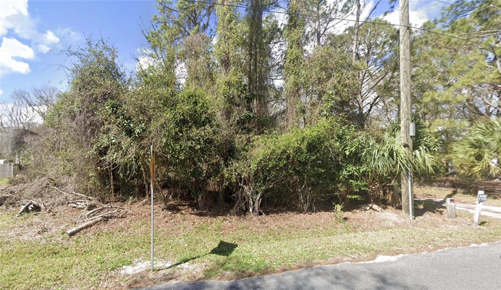 a view of a yard with plants and trees