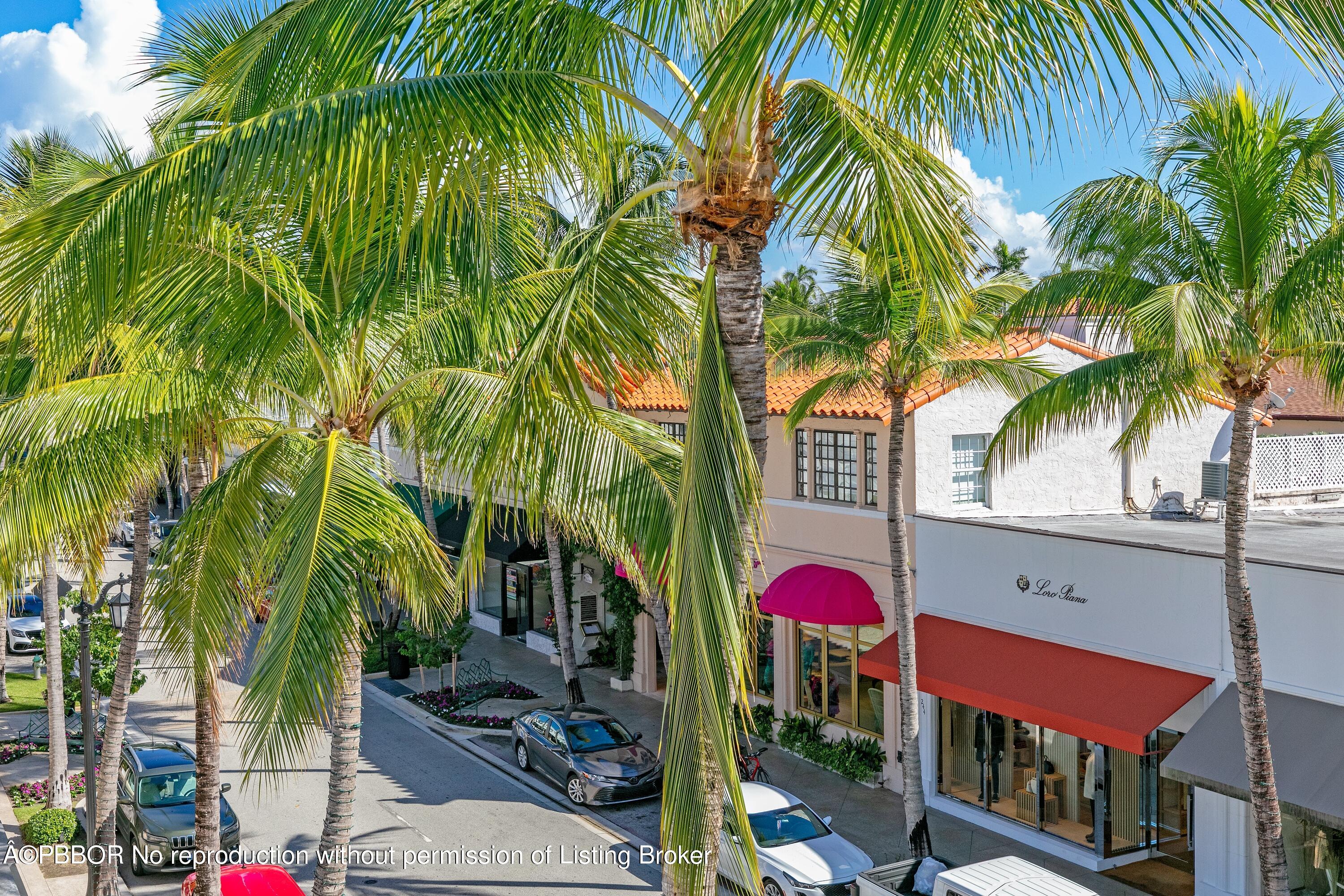 Florida - Palm Beach - Worth Avenue and Hibiscus Avenue