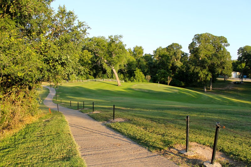 a view of a park with large trees