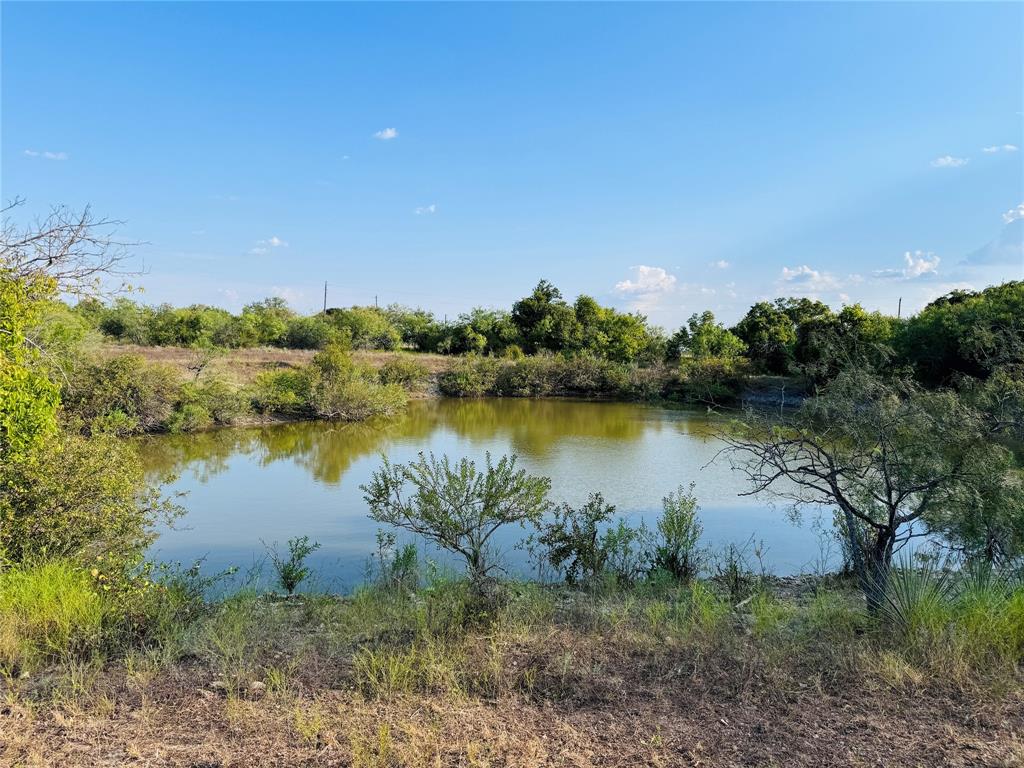 a view of a lake from a yard