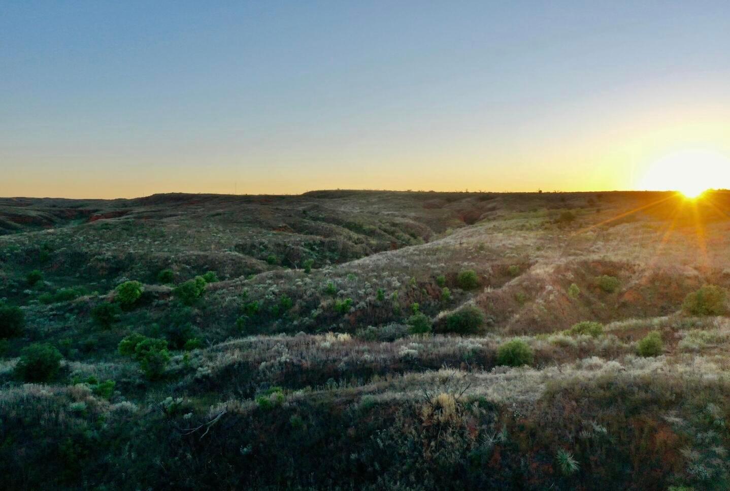 a view of a mountain in the distance in a field