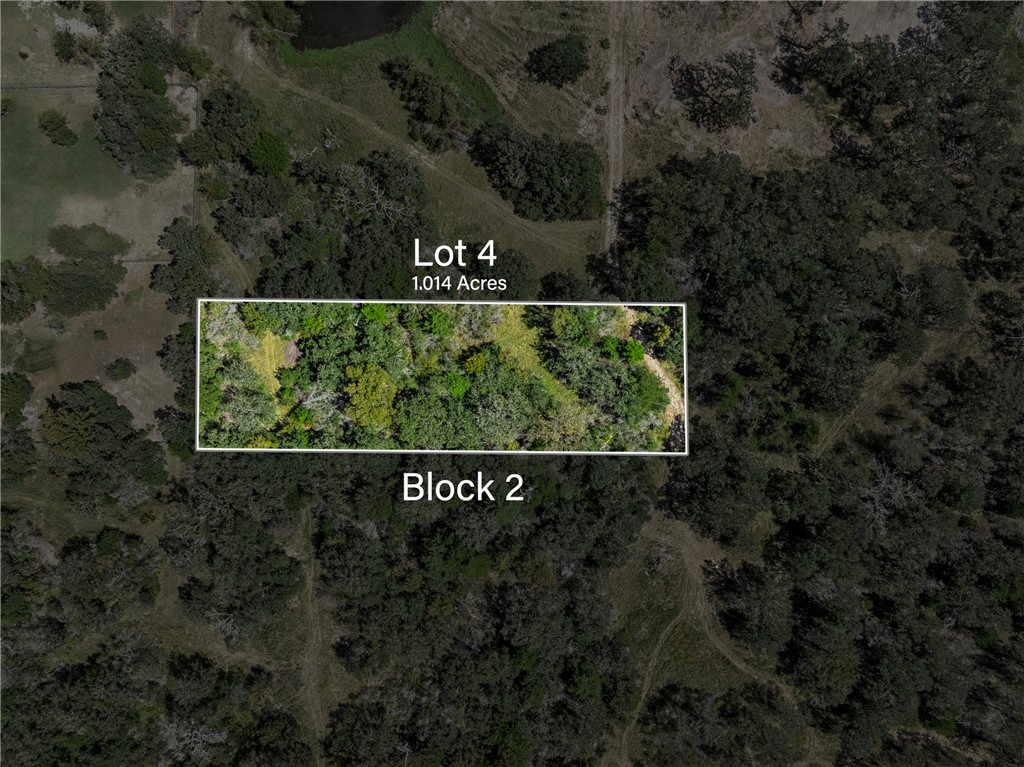 WOODED LOT - Property boundaries are approximate