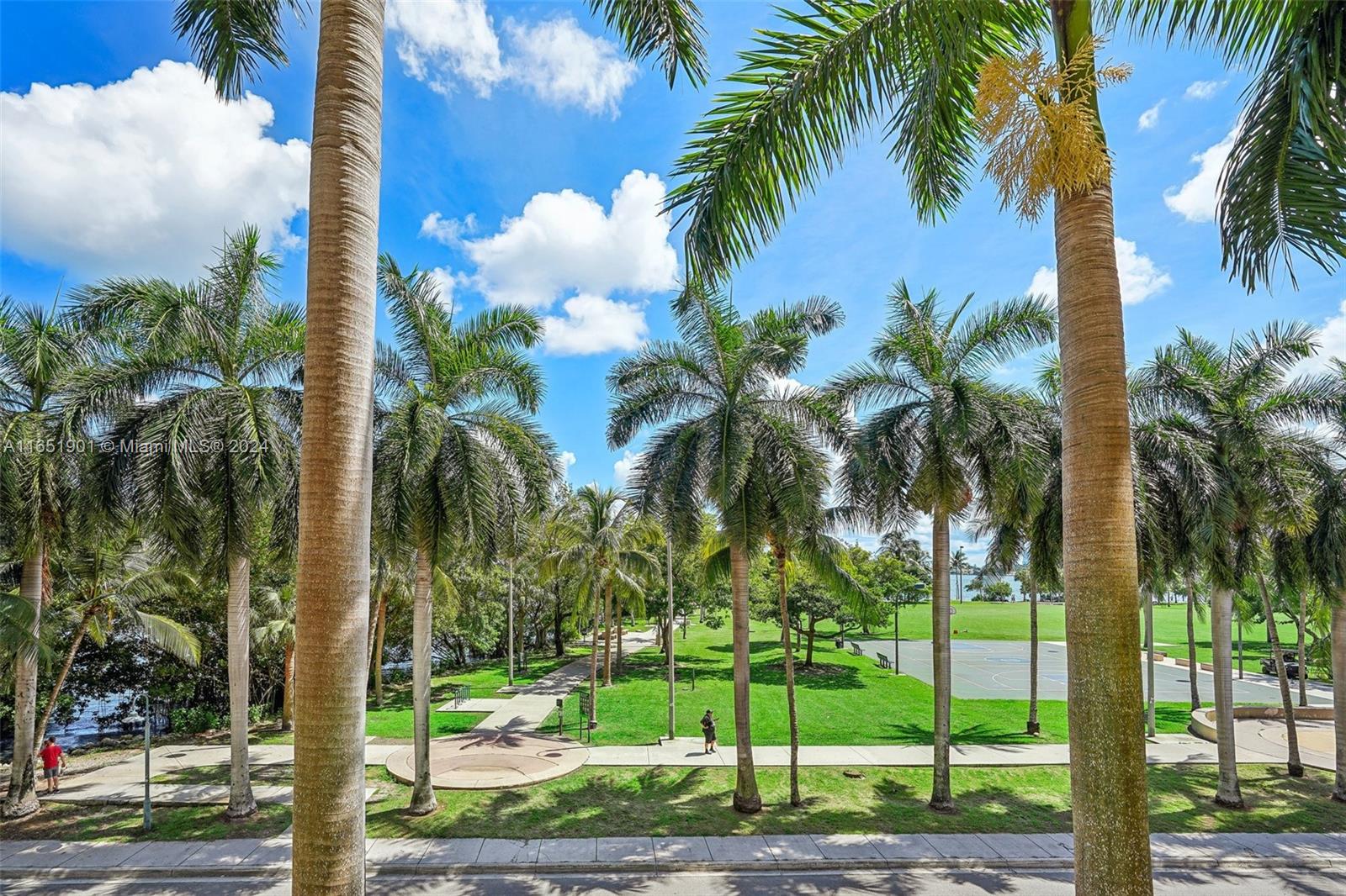 a view of a palm tree with a palm trees