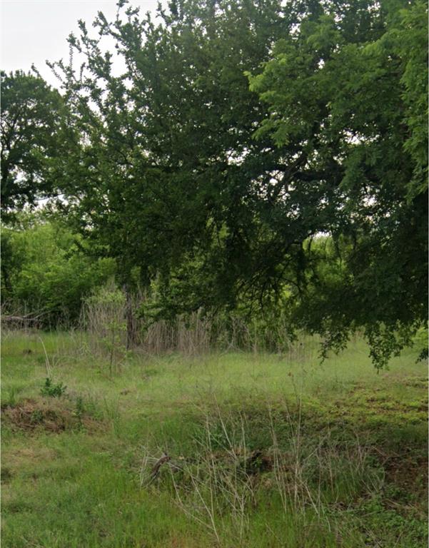 a view of a lush green space