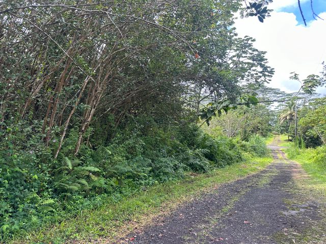 $8,250 | 382 Lanai Road | Nanawale Estates